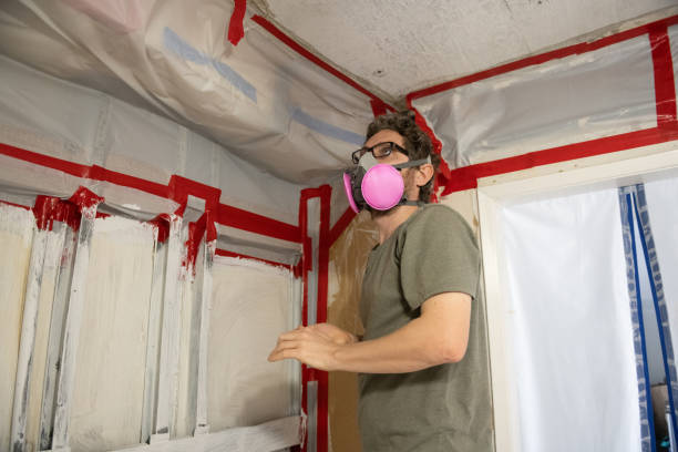 Best Black Mold Removal  in Woodmont, CT