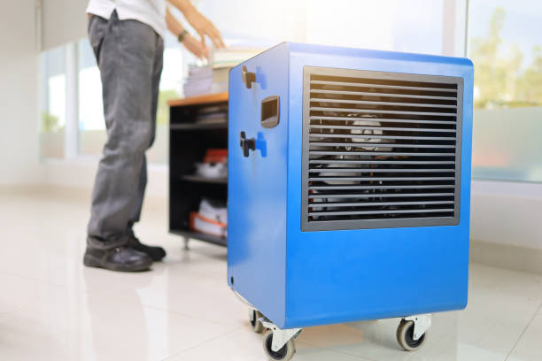 Best Mold Damage Restoration  in Woodmont, CT