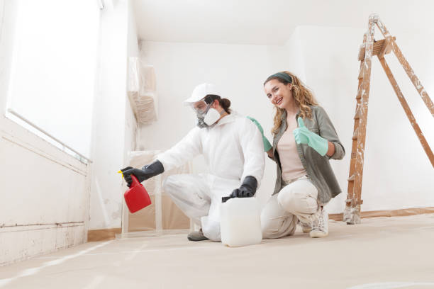 Best Residential Mold Inspection & Testing  in Woodmont, CT