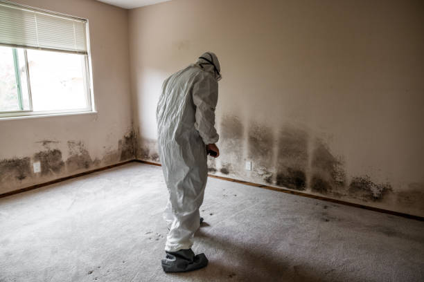 Best Airborne Mold Testing  in Woodmont, CT